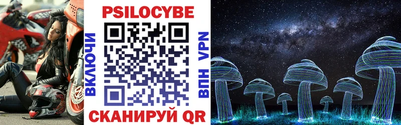 Псилоцибиновые грибы Cubensis закладка Советский