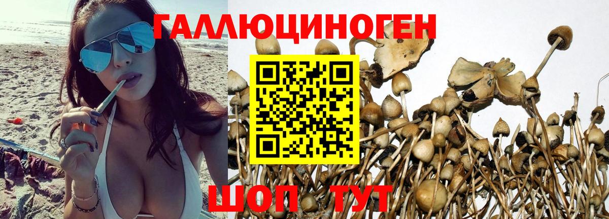 Галлюциногенные грибы Psilocybe  сколько стоит  Галлюциногенные грибы Psilocybine cubensis  Советский  Вход с VPN 