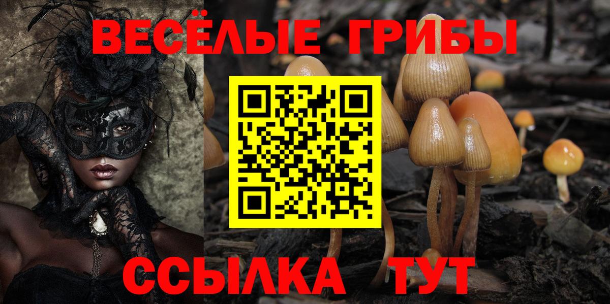 Галлюциногенные грибы Cubensis Советский